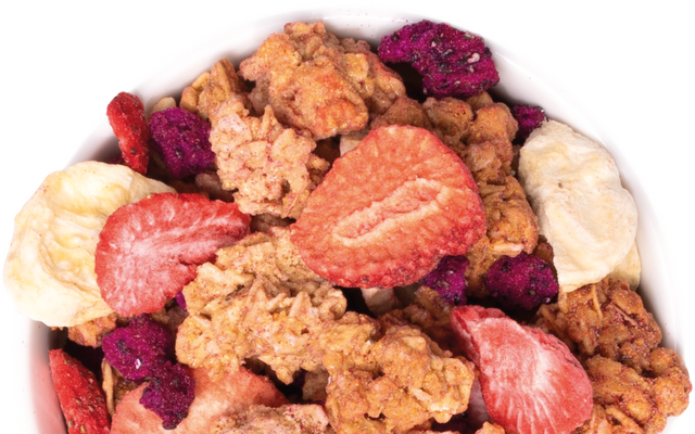 Proteínová granola KetoDiet bez cukru – s lyofilizovaným ovocím