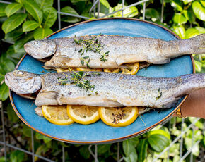 Pstruh, dietní nutričně bohatá ryba. I do keto diety.