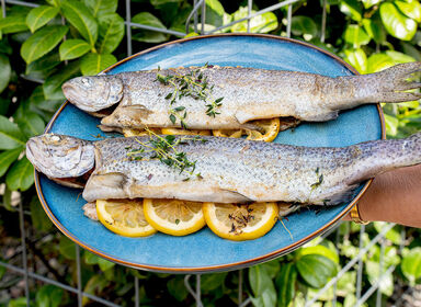 Pstruh, dietní nutričně bohatá ryba. I do keto diety.