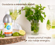 Nápojový koncentrát – príchuť mojito