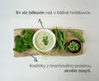 Proteinová polévka – hrášková příchuť