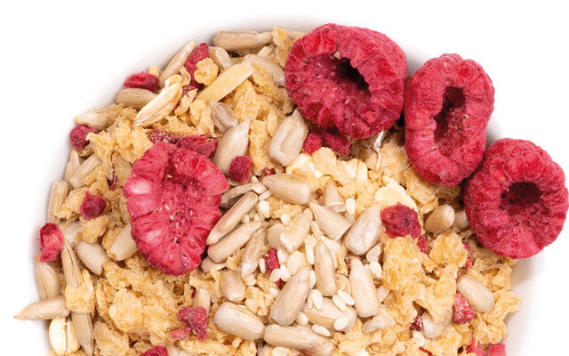 Proteinové müsli KetoDiet – s malinami a vanilkovou příchutí (7 porcí)
