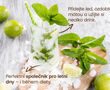 Nápojový koncentrát – příchuť mojito